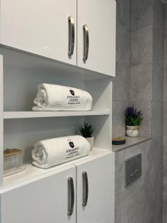 Apartman Stoiljkovic Vrnjacka Banja - Vrnjci - 8