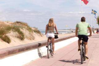 Lovely Chalet With Free Wi-Fi At Green Farm Park, Norfolk Ref 43395G - Scratby - 4