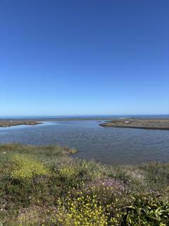 Lodge Punta Sirena - 5