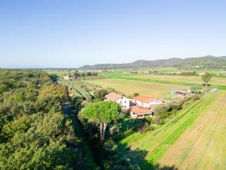 Holiday Home Rosa by Interhome - Pian dʼAlma - 9