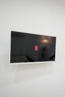 Camelia's Garden - 1