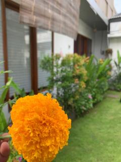 JATAYU apartements - Canggu - 6