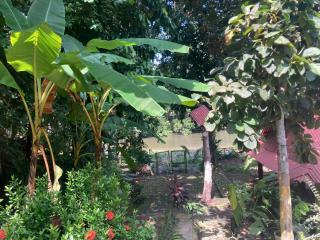 Alitta Cafe - Guachaca - 1