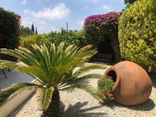 Villa Leon - Kouklia - 2