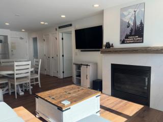 Beautiful Renovated 1BR Lakeside Condo condo - 8