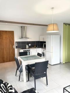 Appartement T2 lumineux, très bien équipé, proche centre-ville - Salies-de-Béarn - 0