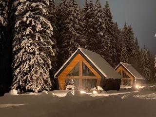 Chalet Belveder Horská chata - Železná Ruda - 9