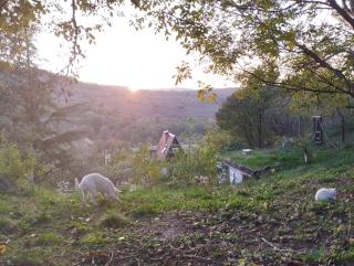 Iza sedam gora - Rakovac - 5