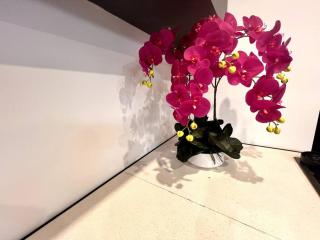 Bel Casa Solihull - 7