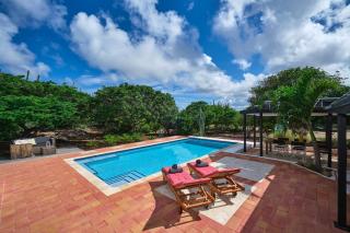Koeriboeri Aruba Lodges - Babijn - 5
