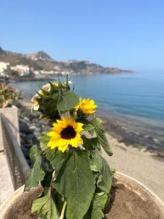Naxos Dream Bay - Giardini-Naxos - 5