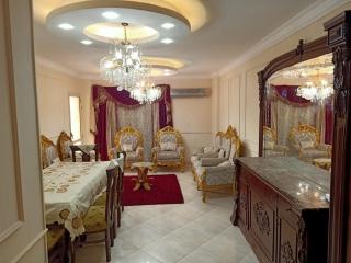 دار مصر القرنفل التجمع الاول - New cairo - 3