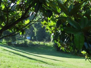 Virginia Country Cottage, GREAT Location, Pets - 8