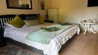 Aloe Tree Guest House - Krugersdorp - 8