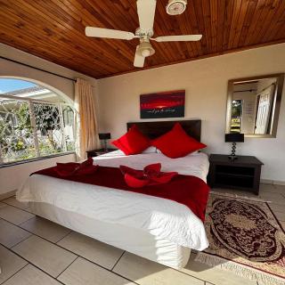 Aloe Tree Guest House - 1