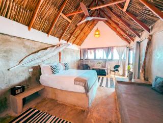 Casa Coraje - Palomino - 1