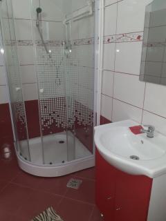 Pensiunea Casa Lircă - Topliţa - 7