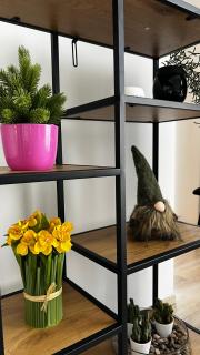 Lili's Loft Studio - 3