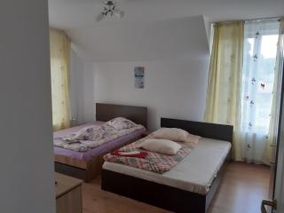 Pensiunea Casa Lircă - Topliţa - 9