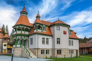 Vila Borka - Borsec - 0