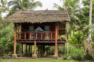 Jardín Botánico del Pacífico y Mecana Ecohotel - Bahía Solano - 7