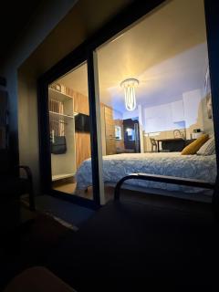 Love room nantais - Nantes - 4