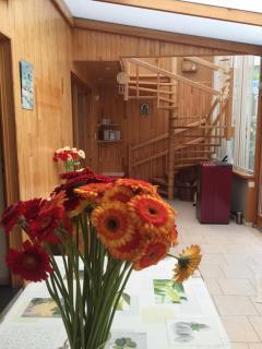 Au Petit Ry - Treignes - 8