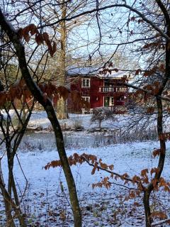 Jul i Skovhuset - Ringsted - 4