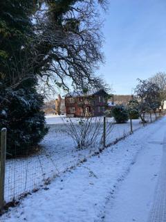 Jul i Skovhuset - Ringsted - 6