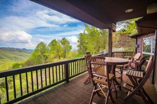 A Nest With a View - Blowing Rock - 0