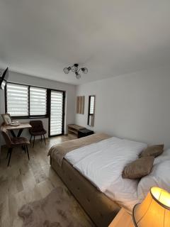 Casa Ana - Câmpulung Moldovenesc - 2