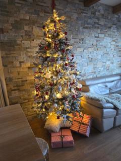 Chalet Rebeca 6 beds Donovaly - Donovaly - 5