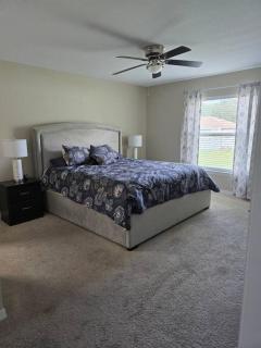 Visit Florida! Near Orlando, Tampa, Ocala & More! - Summerfield - 6
