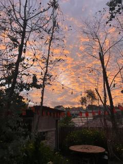 Đà Lạt Homestay nhà vườn giữa thành phố - Ấp Ða Thành - 6