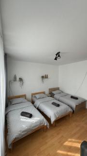 Apparemment spacieux et lumineux pour 6 voyageurs - Strasburgo - 6