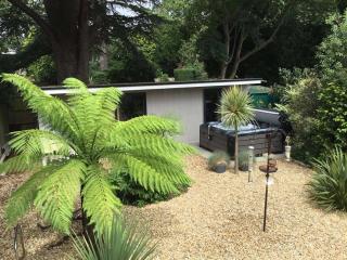 Stylish Studio with Hot Tub & Garden- Pet-Friendly - Southampton - 0