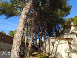 MASIA Del ROC DE SANT CAIETA - Roda de Bará - 5
