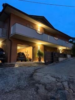 Camelia - Gubbio - 6