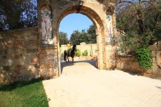 Eden Resort Country - Torre San Giovanni - 1