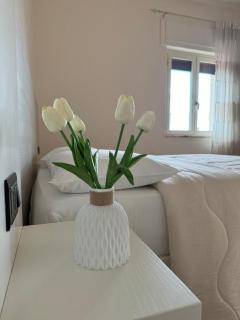 Stefanelli Tropea Home - 5