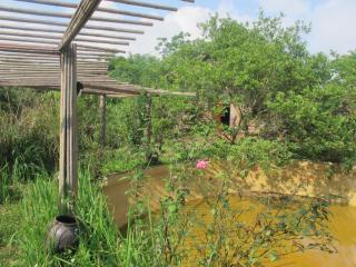 PuBinSpiceHills Farmstay - 6