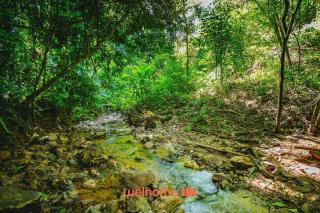 Casa em Mairinque com Piscina e Área Verde - 6