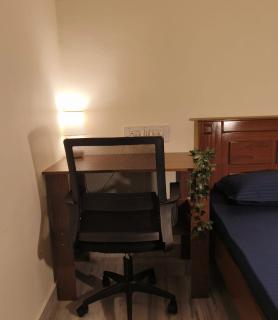 Flickstays Daffodil - 2