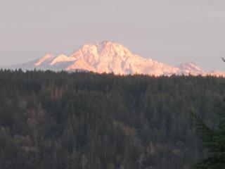 Northwest Stunner - Union - 2
