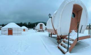 Glamping Spiritul Zimbrului - 6