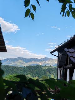 Pensiunea Glasul Pădurii - Braşov - 5
