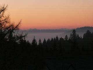 Naturapartment SCHWARZWALDSEELE Kniebis - Freudenstadt - 9