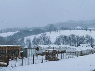 Glamping Spiritul Zimbrului - 2