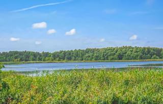 Ferienhaus Bansin Seebad - Gothen - 2