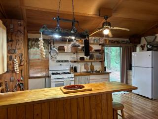 Little Piney Cabin - Morrilton - 6